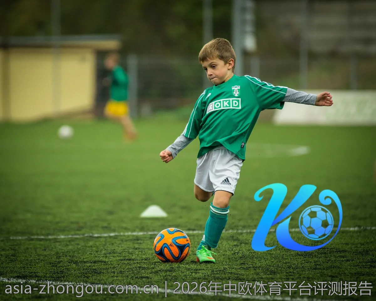 2026年中欧体育平台评测报告