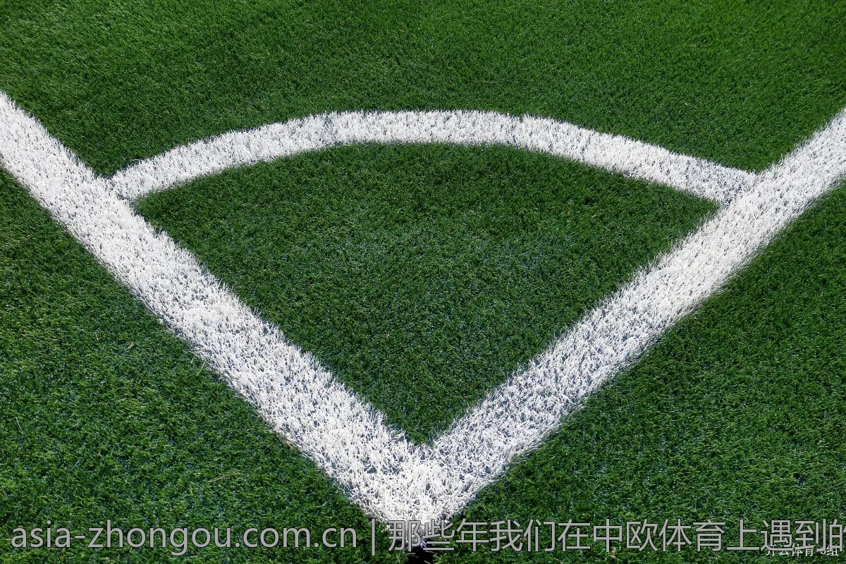 那些年我们在中欧体育上遇到的趣事