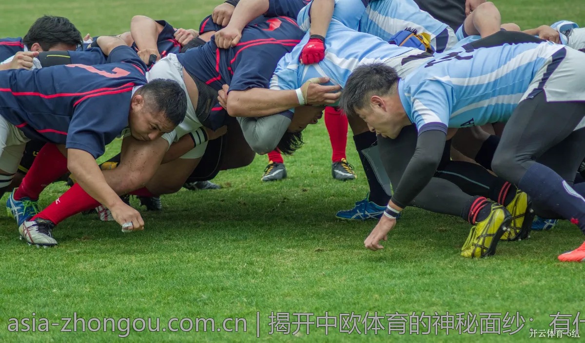 从中欧体育看最新的运动趋势