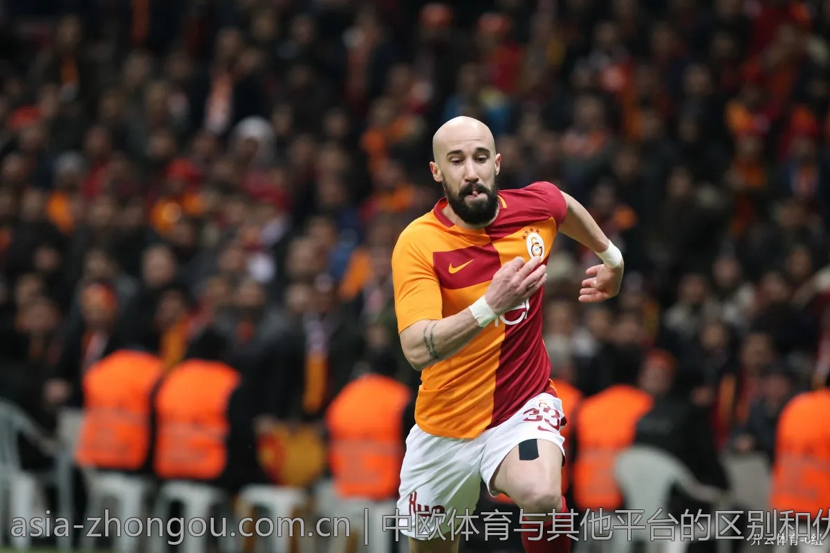 中欧体育与其他平台的区别和优势